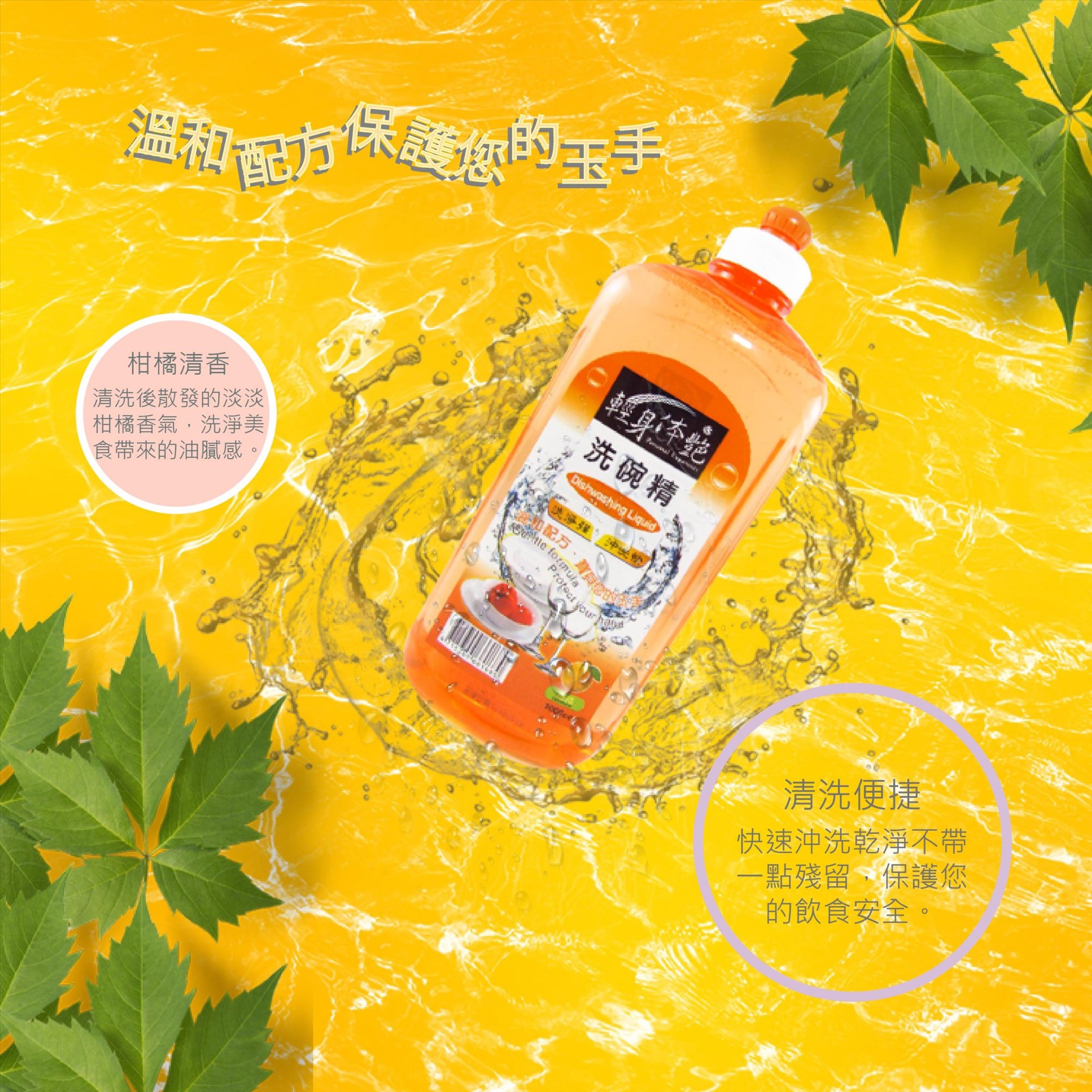 輕身体艷柑橘洗潔精-拉頭1000ml 12入一箱