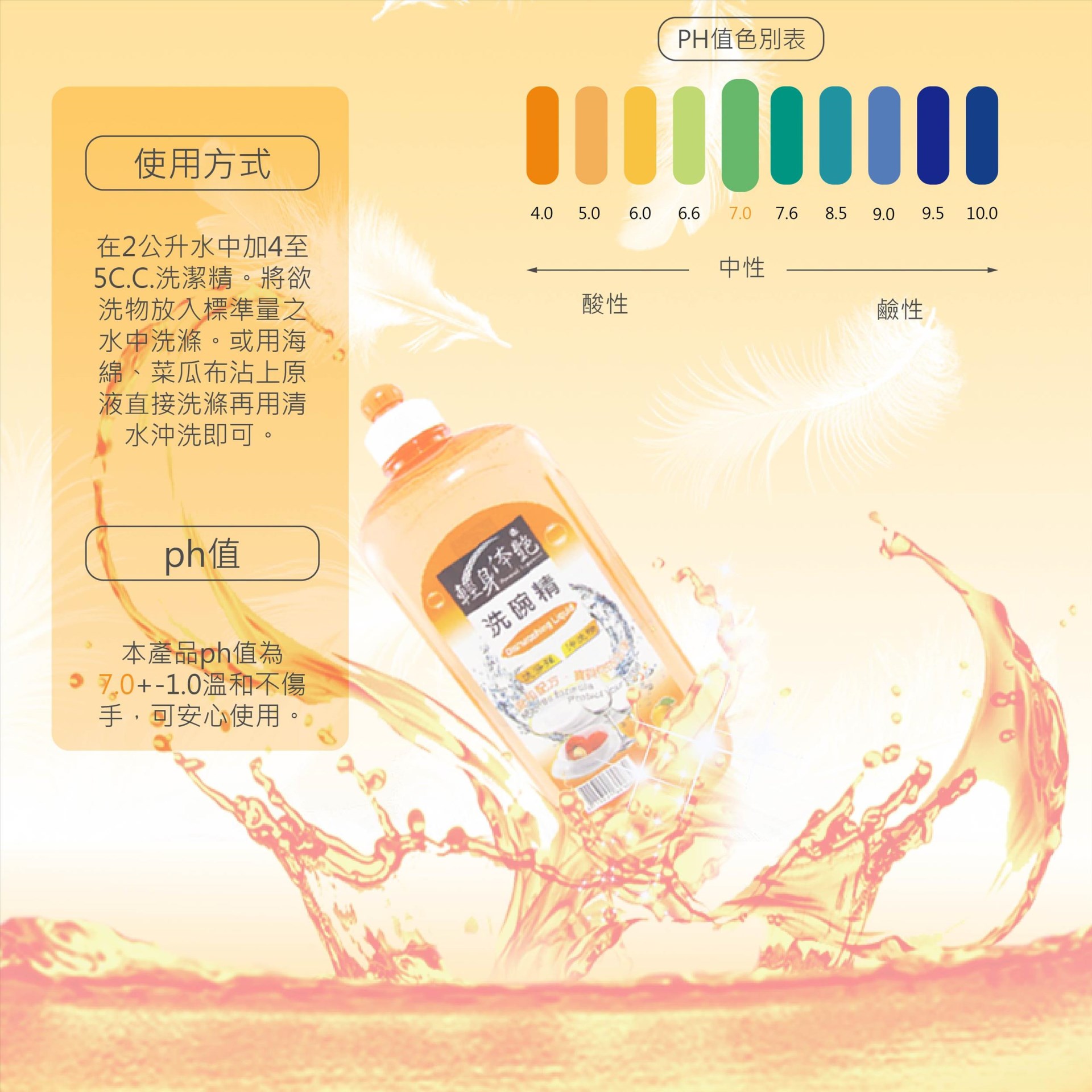 輕身体艷柑橘洗潔精-拉頭1000ml 12入一箱